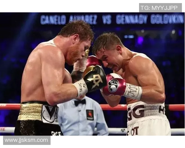 阿瓦雷兹与拉拉巅峰对决揭示拳坛新格局的精彩赛事分析